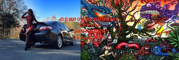 альфа пвп Алексеевка