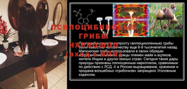 альфа пвп Алексеевка