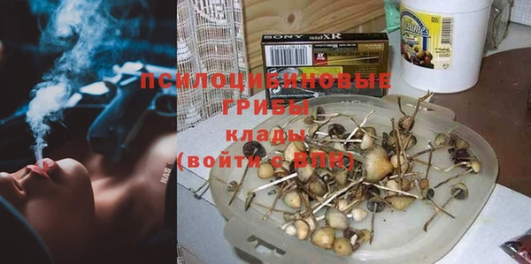 эйфоретик Алексин