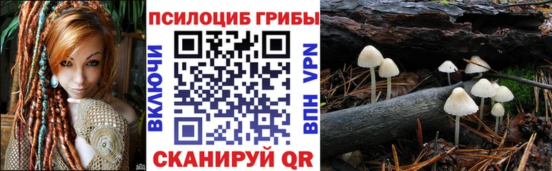 закладки  Воткинск  Псилоцибиновые грибы Psilocybe 